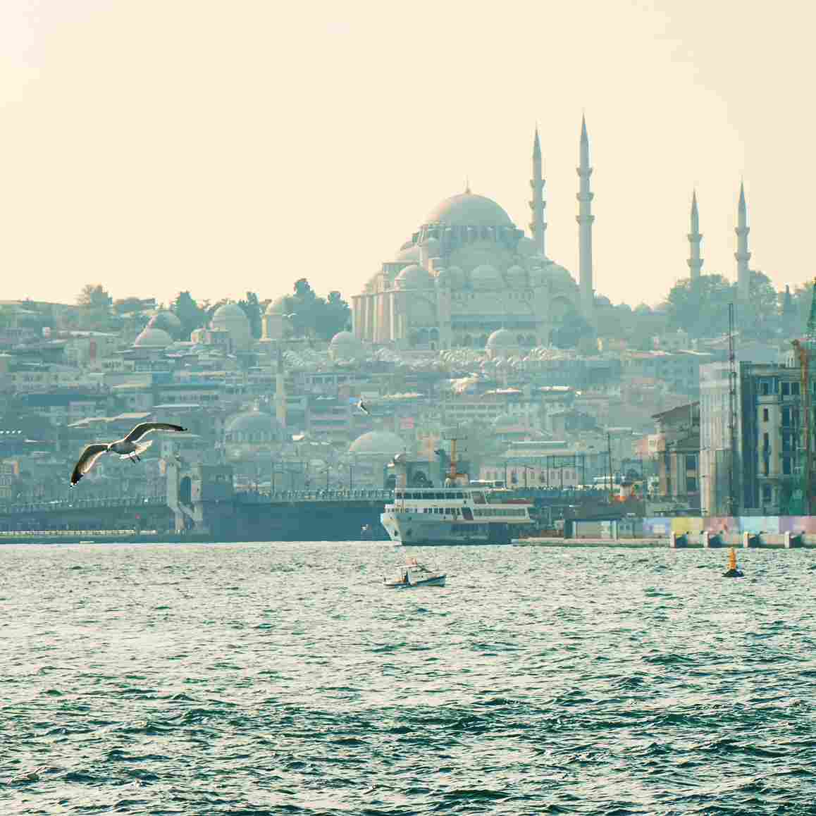 panoramic view beautiful city istanbul sea flying seagull turkey 11zon