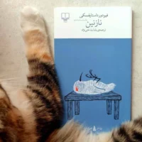 کتاب نازنین اثر فئودور داستایفسکی نشر چشمه - Image 2